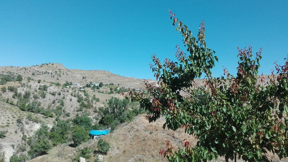 Rîçik Köyünde KORTĚ Çellan..